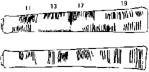 Ishango bone